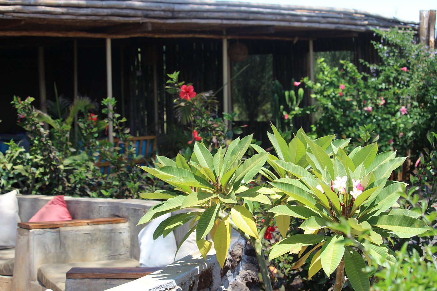 Tulia Amboseli Safari Camp
